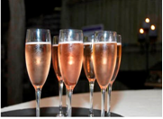 beverage and cocktail catering sydney