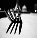 the roo brothers substantial fork food canapes