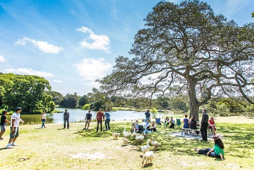 Lachlan Reserve, Centennial Park